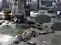 Friends Rescue From Skeleton — безплатна онлайн игра