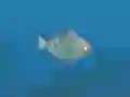 Fish Companions — безплатна онлайн игра