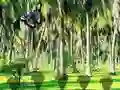 Rescue Tasmanian Tiger — безплатна онлайн игра