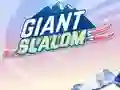 Giant Slalom — безплатна онлайн игра