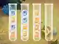Sort Bubbles — безплатна онлайн игра