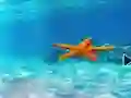 Escape From Underwater Starfish — безплатна онлайн игра