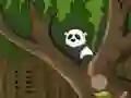 Panda Jungle Escape — безплатна онлайн игра