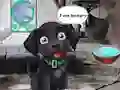 Feed Hungry Black Dog — безплатна онлайн игра