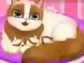 Cute Kitty Pregnant — безплатна онлайн игра