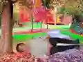 Rescue A Wounded Guy — безплатна онлайн игра