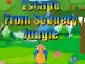 Escape from Scenery Jungle — безплатна онлайн игра