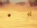 Monkey Shooting — безплатна онлайн игра