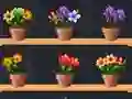 Good Flower Master — безплатна онлайн игра