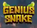 Genius Snake — безплатна онлайн игра
