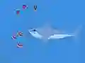 Oceans Shees — безплатна онлайн игра