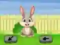 Springtime Escape — безплатна онлайн игра