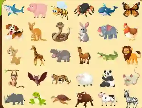 Discover Animals — безплатна онлайн игра