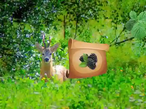 Return To Alsunga Forest — безплатна онлайн игра