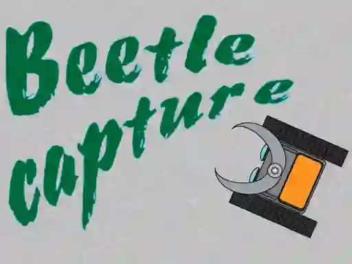 Beetle Capture — безплатна онлайн игра