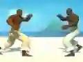 Capoeira fighter — безплатна онлайн игра