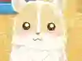 Hamster Love — безплатна онлайн игра