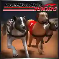 Greyhound Racing — безплатна онлайн игра