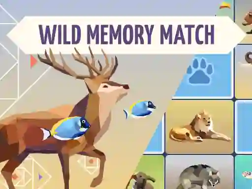 Wild Memory Match — безплатна онлайн игра