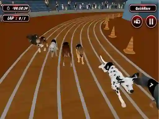 Crazyl Dog Racing Fever — безплатна онлайн игра