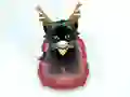Pet Sledding — безплатна онлайн игра