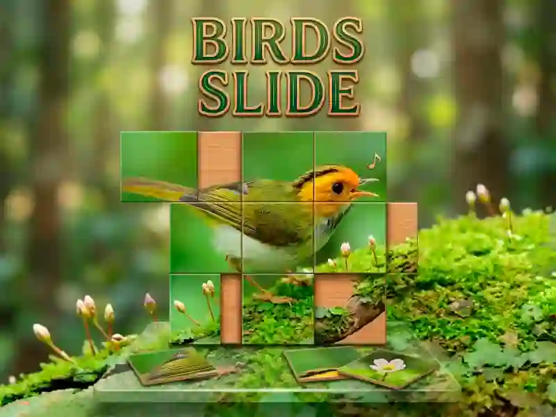 Birds Slide — безплатна онлайн игра