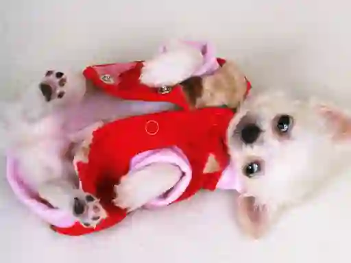 Lovely Puppy Slide — безплатна онлайн игра