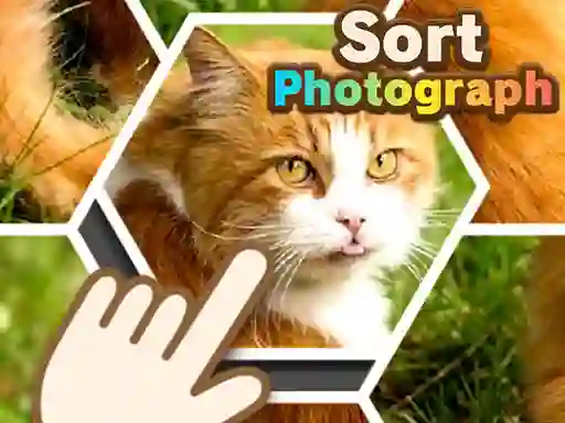 Sort Photograph — безплатна онлайн игра