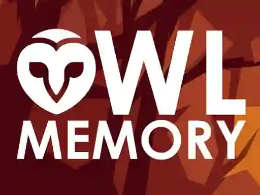 Owl Memory — безплатна онлайн игра
