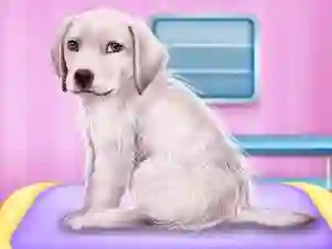 Labrador at the doctor salon — безплатна онлайн игра