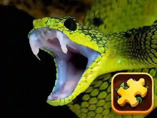 Snake Puzzle Challenge — безплатна онлайн игра