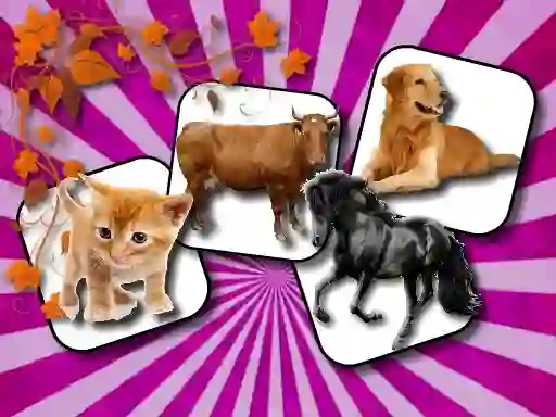 Domestic Animal Memory Challenge — безплатна онлайн игра