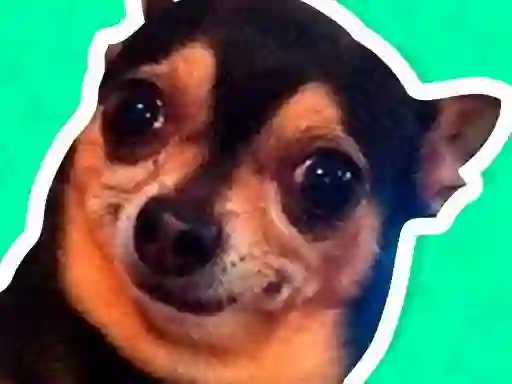 What meme dog are you ? — безплатна онлайн игра