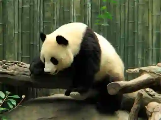 Pandas Puzzle — безплатна онлайн игра