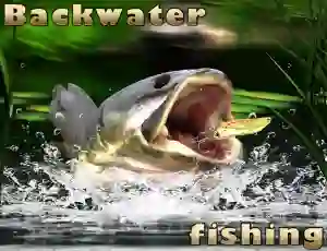 Backwater Fishing — безплатна онлайн игра