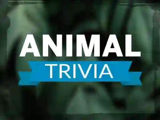Animal Trivia — безплатна онлайн игра