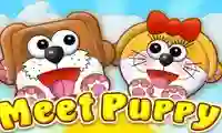 Meet Puppy — безплатна онлайн игра