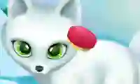 Paws to Beauty Arctic Edition — безплатна онлайн игра