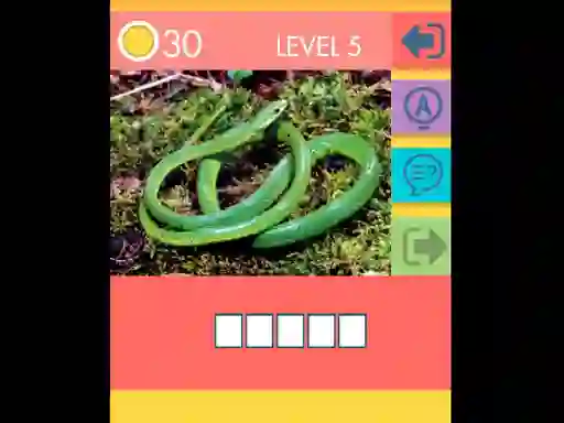 15 Picture Quiz — безплатна онлайн игра