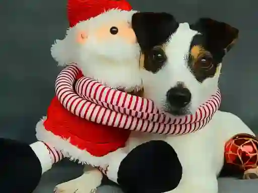 Funny Christmas Dogs — безплатна онлайн игра