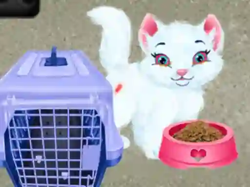 Baby Taylor Pet Care — безплатна онлайн игра