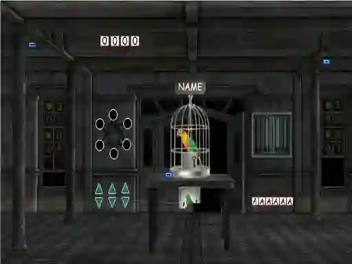 Parrots Escape — безплатна онлайн игра