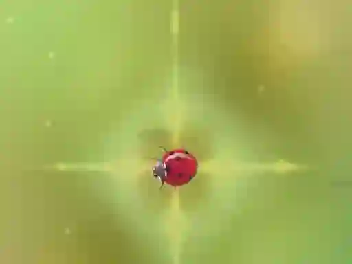 Pest Control — безплатна онлайн игра