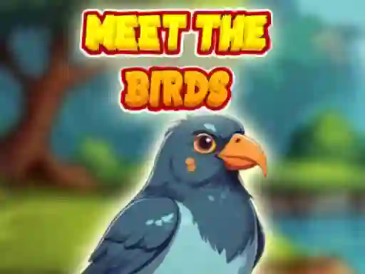 Meet The Birds — безплатна онлайн игра