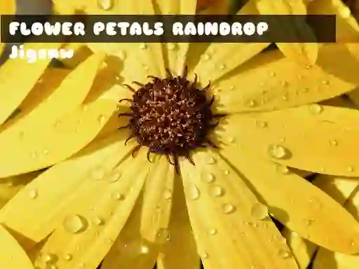 Flower Petals Raindrop Jigsaw — безплатна онлайн игра
