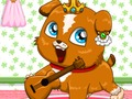 Игра Pet Roulette онлайн