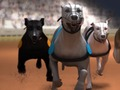 Игра Хръвни състезания онлайн