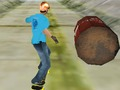 Игра Невероятно скейтър 3d  онлайн