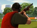 Игра Гълъб Гълъб: Натиснете и стреляйте  онлайн
