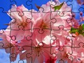 Игра Пъзел: Цветя  онлайн